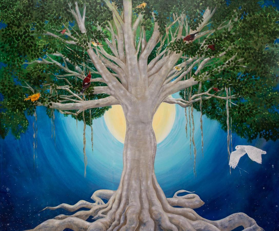Kalaoa Banyan Tree Sanctuary Guest House מראה חיצוני תמונה