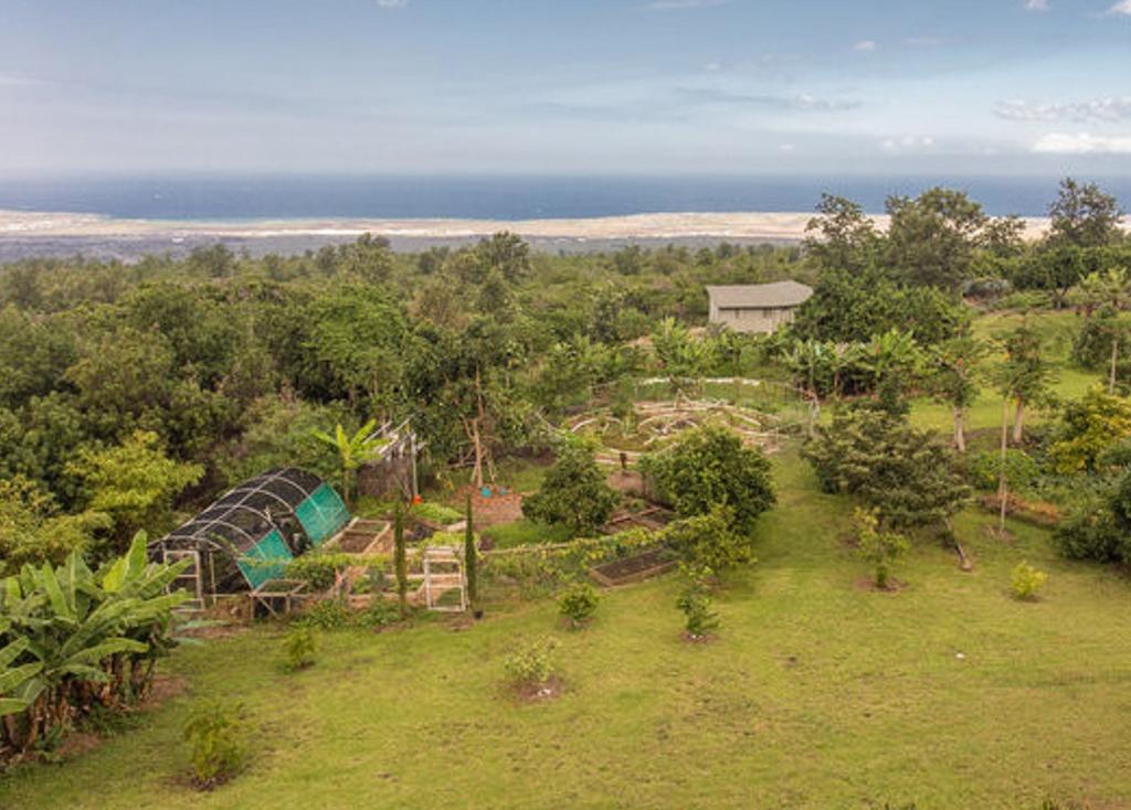 Kalaoa Banyan Tree Sanctuary Guest House מראה חיצוני תמונה